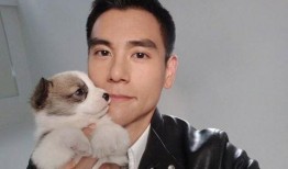 彭于晏新闻爆料,揭秘他的幕后故事与成长历程